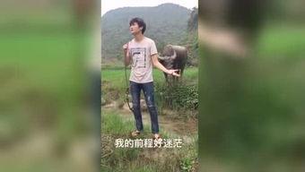 国产的福利视频,展现中国魅力与温情瞬间